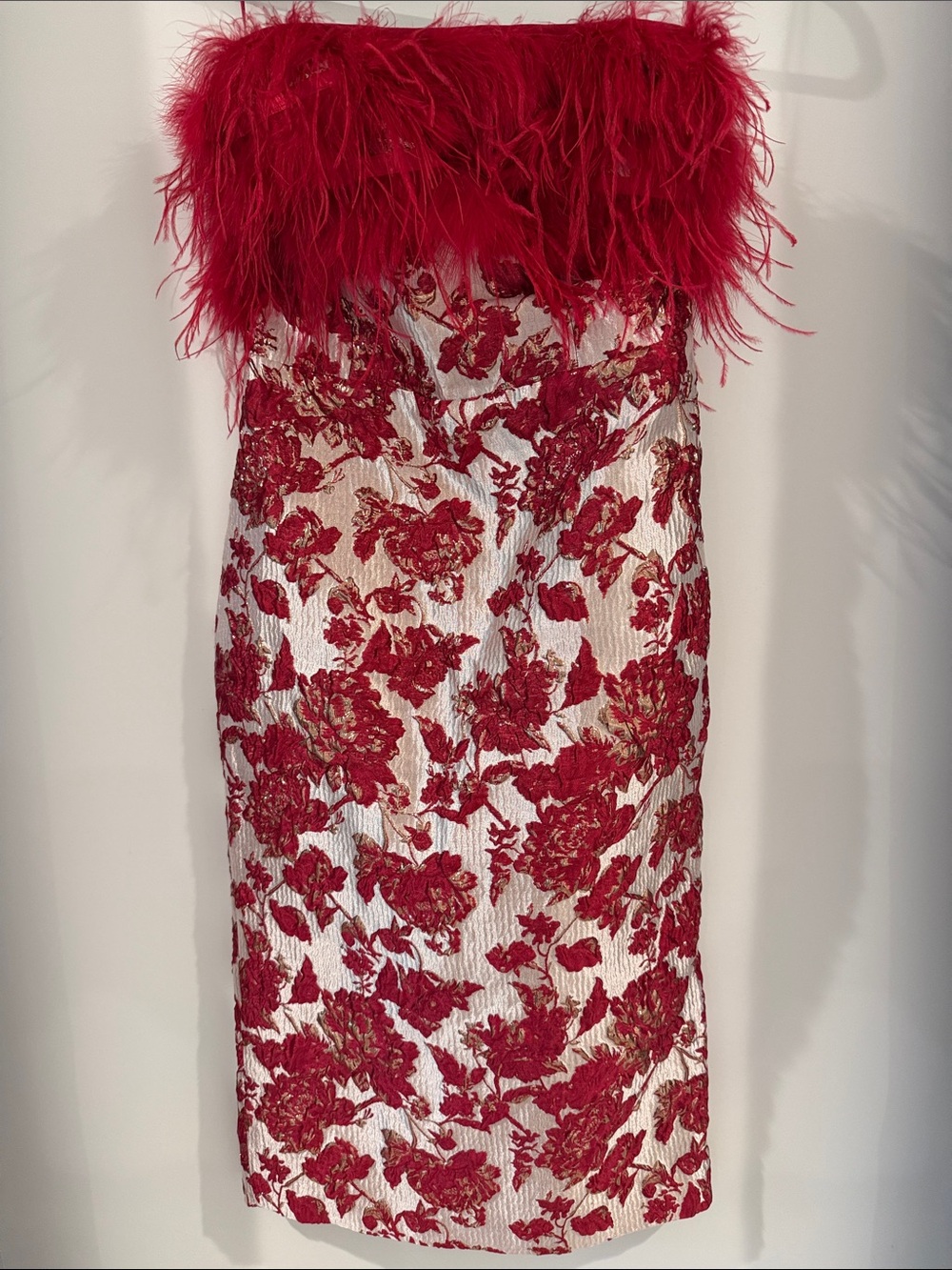 Hyacinth House Red Feather-Trim Floral Mini Dress - Picture 2 of 4